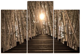 Obraz na plátne - Drevená promenáda v bambusovom lese 1172FD (105x70 cm)