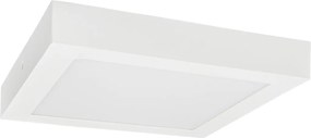 LED90 FENIX-S Snow white 18W NW 1350/2250lm - Prisadené LED svietidlo typu downlight