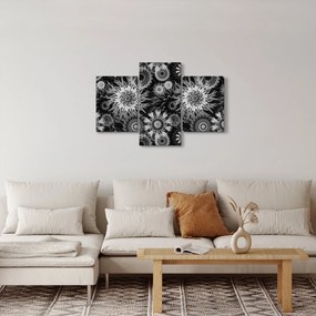 Obraz - Čiernobiele bodliaky (90x60 cm)