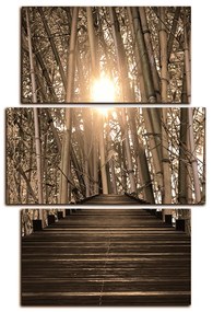 Obraz na plátne - Drevená promenáda v bambusovom lese - obdĺžnik 7172FC (120x80 cm)
