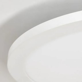 Brilliant - LED RGBW Stmievateľné stropné svietidlo ABIE LED/24W/230V + DO