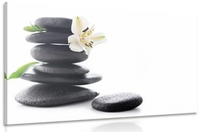 Obraz Zen kamene s ľaliou