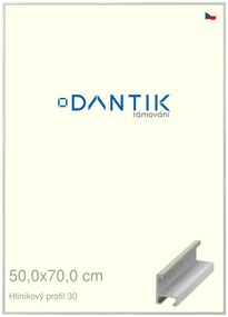 DANTIK rám na obraz 50x70 | ALU Dýha barevná šedá světlá (Plexi Čiré)