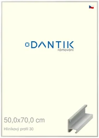 DANTIK rám na obraz 50x70 | ALU Dýha barevná šedá světlá (Plexi Čiré)