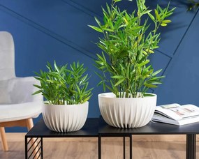 Sada 2 květináčů STRIPPED ECO bílá