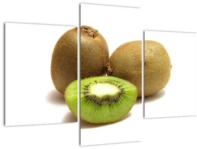 Obraz kiwi