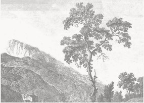 Vliesová tapeta Engraved Landscapes I