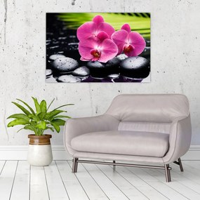 Obraz - Ružové orchidey s palmovým listom (90x60 cm)