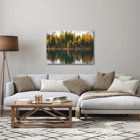 Obraz lesného jazera (70x50 cm)