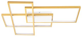 Aigostar - LED Stmievateľné stropné svietidlo LED/38W/230V 2700-6500K + DO