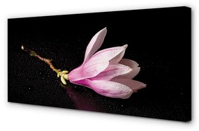 Obraz canvas kvetina voda 100x50 cm