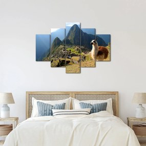 Obrázok - Lama a Machu Picchu (150x105 cm)