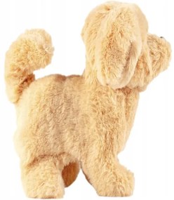 Interaktívny chodiaci psík so zvukmi MalPlay