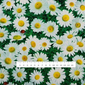 PVC obrus Margaréty na zelenom PV-161 - metráž š. 140 cm