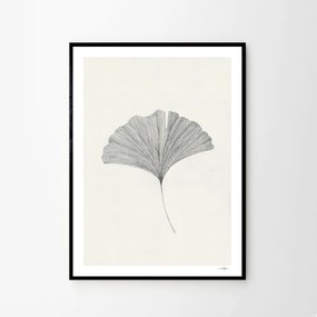 Moikka Plagát Ginkgo Leaf by Ana Frois 50x70 cm