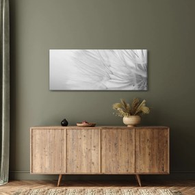 Obraz - Púpava (120x50 cm)