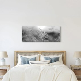 Obraz - Jesenná lúka (120x50 cm)