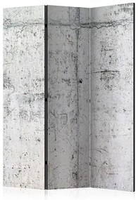 Paraván - Concrete Wall [Room Dividers] Veľkosť: 135x172, Verzia: Obojstranný