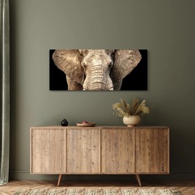Obraz - Slon africký (120x50 cm)