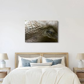 Obraz - Detailné fotografie starého slonieho oka (90x60 cm)