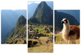 Obrázok - Lama a Machu Picchu (90x60 cm)