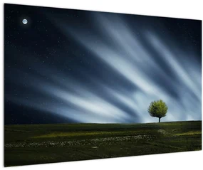 Obraz polárna žiara nad vresoviskom (90x60 cm)