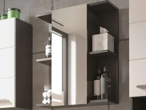Koupeľňová zrkadlová skrinka Gloss, antracit%