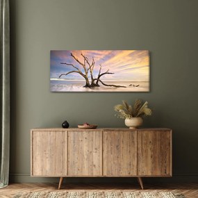 Obraz stromu v oceáne (120x50 cm)