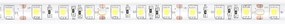 ECOLIGHT LED pásik - 5050 - 12V - 5m - 72W - 300 diód - IP63 - studená biela