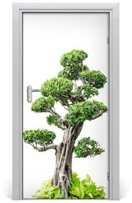 Fototapeta samolepiace bonsai 85x205 cm
