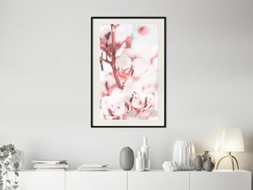 Artgeist Plagát - Blooming Cotton [Poster] Veľkosť: 30x45, Verzia: Čierny rám