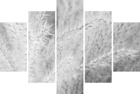 Obraz - Pampas grass N⁰1 (150x105 cm)