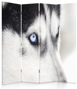 Gario Paraván Sibírsky husky Rozmery: 145 x 170 cm, Prevedenie: Klasický paraván