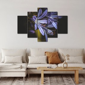 Obraz - Lila (150x105 cm)