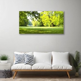 Obraz Canvas Tráva stromy park príroda 125x50 cm