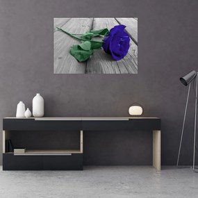 Obraz - Modrá ruža so zelenou stonkou (90x60 cm)
