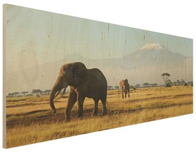 Drevenné obrazy Slony z Kene