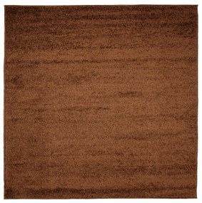 Dizajnový koberec DESERT - SHAGGY ROZMERY: 240x330