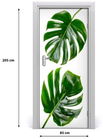 Fototapeta na dvere Monstera 85x205 cm