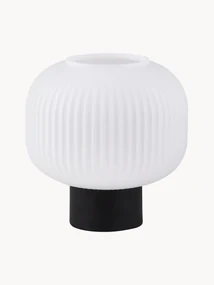 Malá nočná lampa z opálového skla Charles
