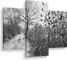 Obraz - Pole v zime (90x60 cm)