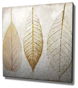 Obraz na plátne Reece, 45 × 45 cm