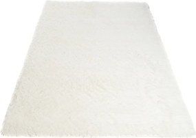 TA Koberec IVORY IVORY SILK Krémový Obdĺžnikový Rozmer: 80x150 cm
