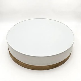 Brilagi - LED stropné svietidlo BELLADONNA LED/36W/230V pr. 50 cm biela/dub