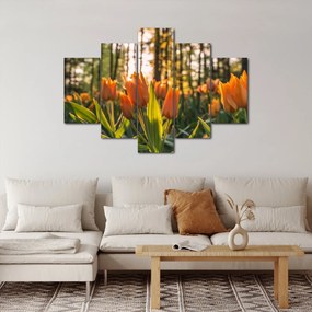 Obraz - kvety tulipánov (150x105 cm)