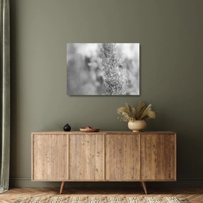 Sklenený obraz - Boho pampas grass (70x50 cm)
