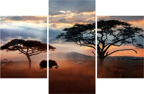 Obraz - Národný park Serengeti, Tanzánia, Afrika (90x60 cm)