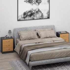 InternetovaZahrada Sada 2 ks nočných stolíkov Eloise 54x39x28 cm - drevo/šedá