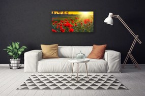 Obraz Canvas Lúka maky rastlina príroda 120x60 cm