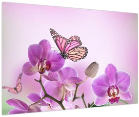 Obraz - Motýľ na kvetoch orchidey, lila (90x60 cm)